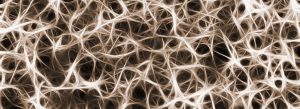 Brain Machine Interfaces