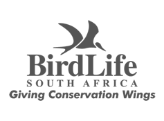 BirdLife SA Logo